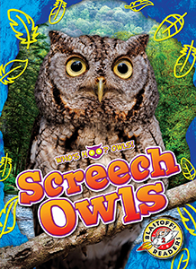 Cover Art for Screech Owls