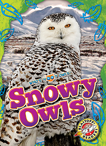 Cover Art for Snowy Owls