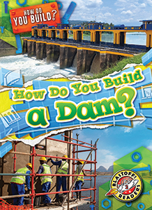 Cover Art for How Do You Build a Dam?