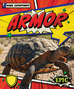 Cover Art for Armor