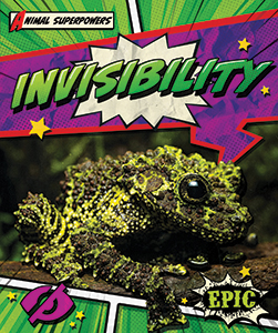 Cover Art for Invisibility