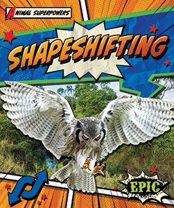Cover Art for Shapeshifting
