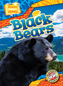 Cover Art for Black Bears
