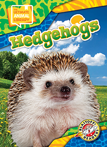 Cover Art for Hedgehogs