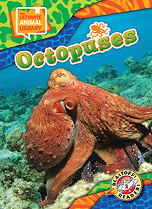 Cover Art for Octopuses