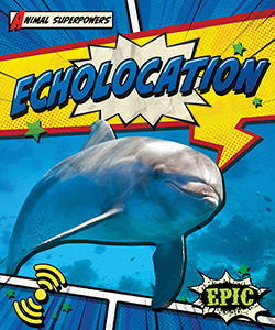 Cover Art for Echolocation