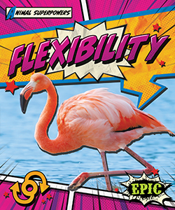Cover Art for Flexibility