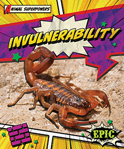 Cover Art for Invulnerability
