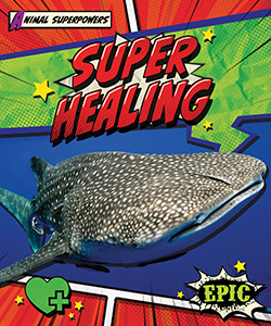 Cover Art for Super Healing