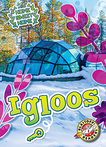 Cover Art for Igloos