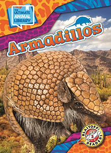 Cover Art for Armadillos