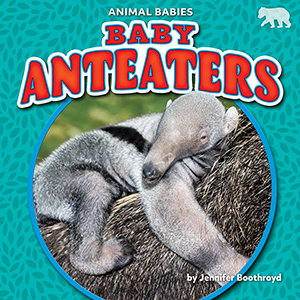 Cover Art for Baby Anteaters
