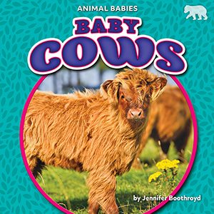 Cover Art for Baby Cows