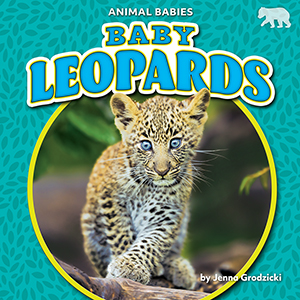 Cover Art for Baby Leopards