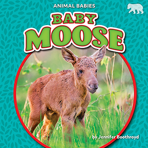 Cover Art for Baby Moose