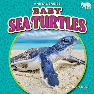 Cover Art for Baby Sea Turtles