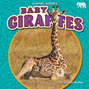 Cover Art for Baby Giraffes