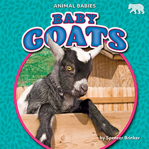 Cover Art for Baby Goats