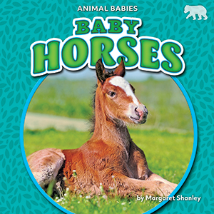 Cover Art for Baby Horses