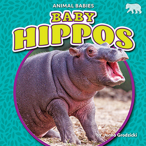 Cover Art for Baby Hippos