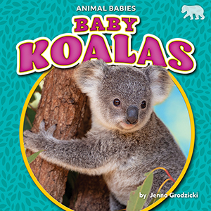 Cover Art for Baby Koalas