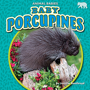Cover Art for Baby Porcupines