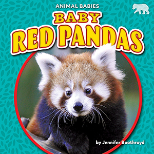Cover Art for Baby Red Pandas