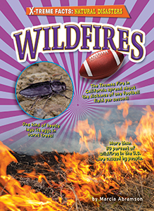 Cover Art for Wildfires