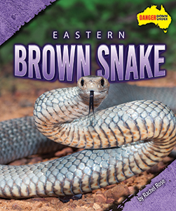 Cover Art for Eastern Brown Snake