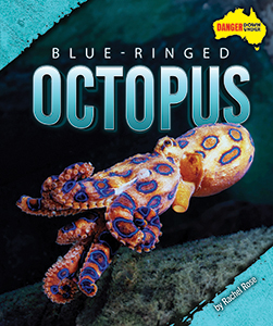 Cover Art for Blue-Ringed Octopus