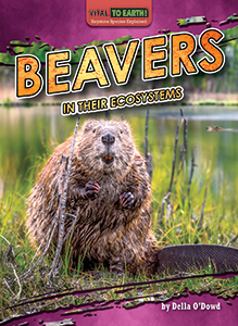 Cover Art for Beavers in Their Ecosystems