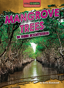Cover Art for Mangrove Trees in Their Ecosystems