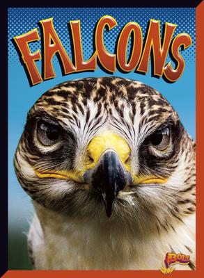 Cover Art for Falcons