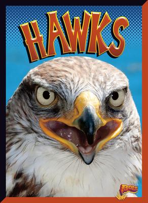 Cover Art for Hawks