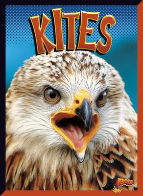 Cover Art for Kites