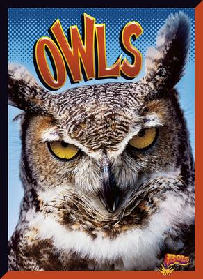 Cover Art for Owls