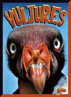 Cover Art for Vultures