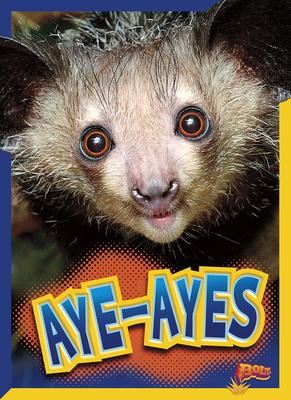 Cover Art for Aye-Ayes