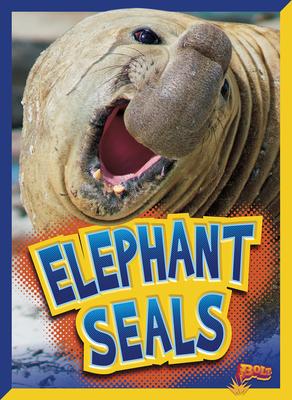 Cover Art for Elephant Seals