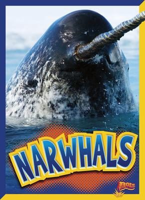 Cover Art for Narwhals