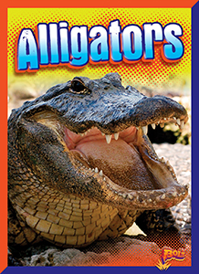 Cover Art for Alligators