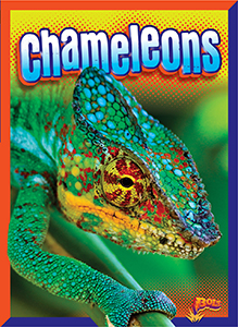Cover Art for Chameleons