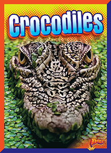 Cover Art for Crocodiles