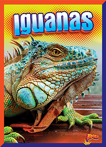 Cover Art for Iguanas