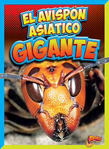 Cover Art for El avispón gigante asiático