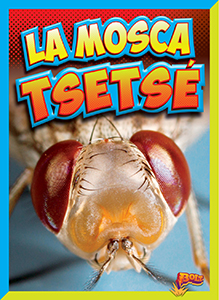 Cover Art for La mosca tsé-tsé