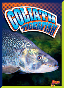 Cover Art for Goliath Tigerfish