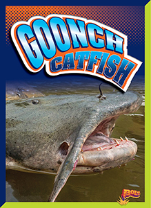 Cover Art for Goonch Catfish