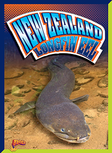 Cover Art for New Zealand Longfin Eel