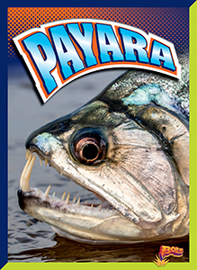 Cover Art for Payara
